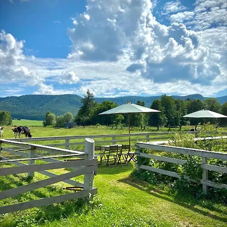 Siedem Lanow رادكوف