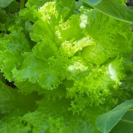 Siedem Lanow مزرعة للإقامة