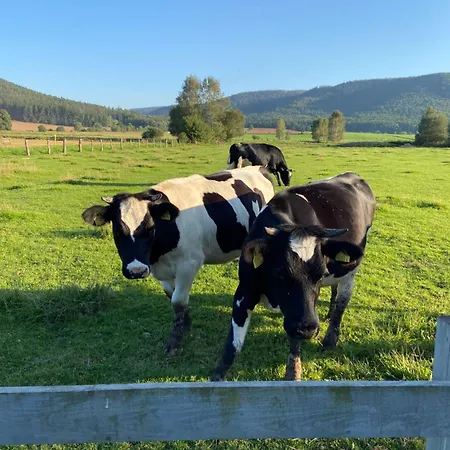 Siedem Lanow * رادكوف