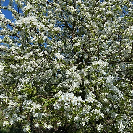 Siedem Lanow مزرعة للإقامة رادكوف