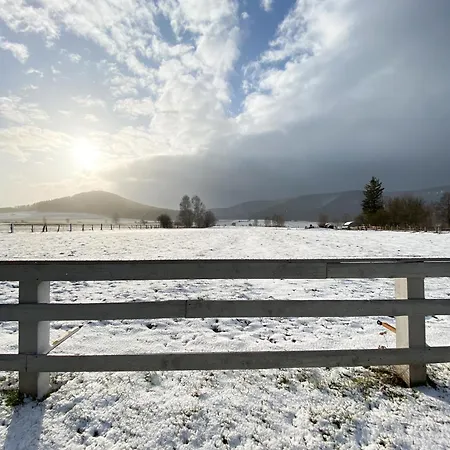 Κατάλυμα σε φάρμα Siedem Lanow Radkow