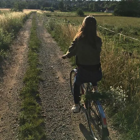 Siedem Lanow * رادكوف