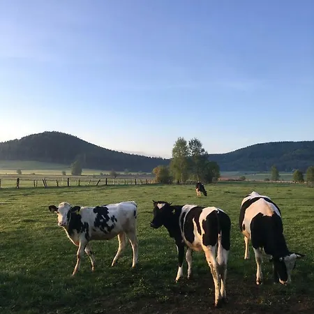 Siedem Lanow Κατάλυμα σε φάρμα Radkow