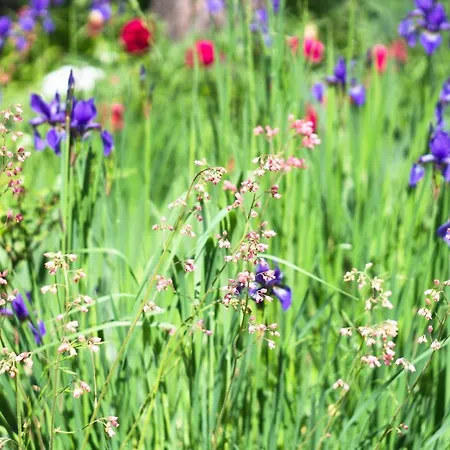 Siedem Lanow مزرعة للإقامة *