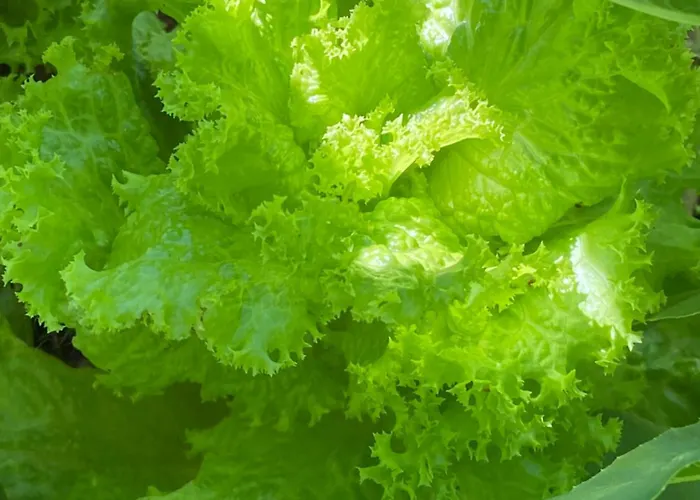 Siedem łanów Agroturismo