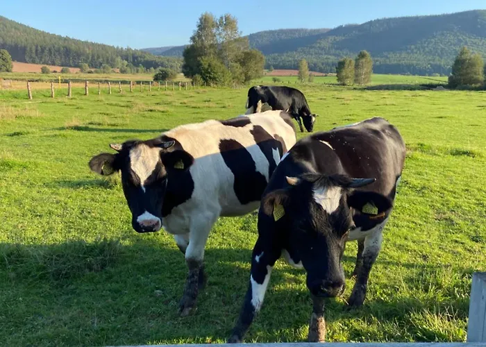 Siedem Lanow * Radkow