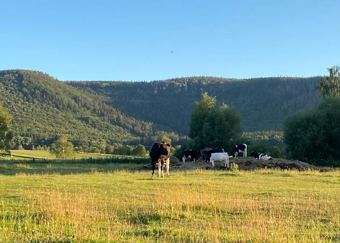 Siedem Lanow Lantgård *