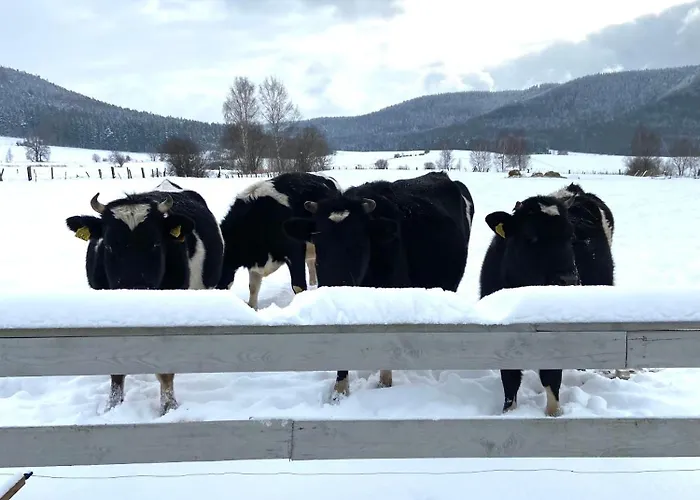 Siedem Lanow * Radkow