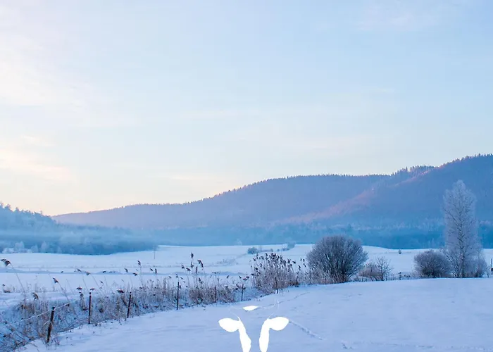 Siedem łanów Radkow