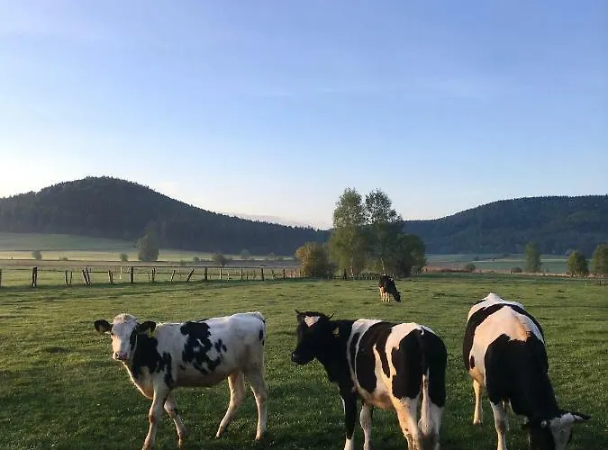 Siedem Lanow Lantgård Radkow