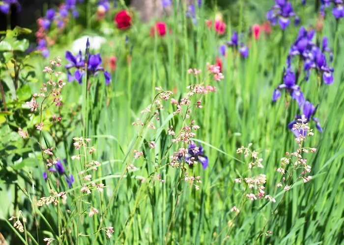 Siedem łanów Agroturismo *