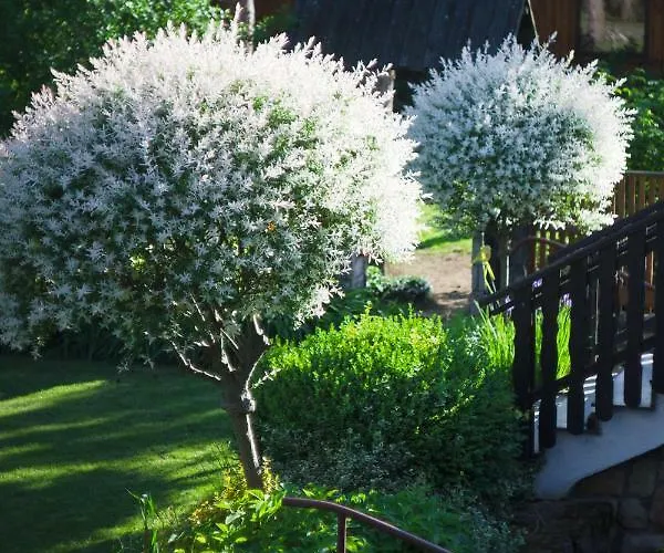 Agroturismo Siedem łanów *